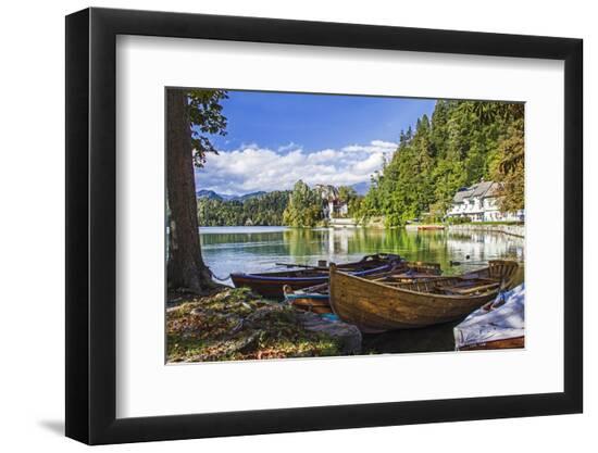 Premium Photographic Print, , large