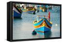 Framed Canvas