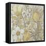 Mix Floral II-Tim OToole-Framed Stretched Canvas