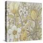 Mix Floral II-Tim OToole-Stretched Canvas