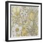 Mix Floral II-Tim OToole-Framed Art Print