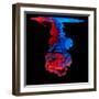 Mix of Colored Ink in Water Creating Abstract Shape, Isolated on Black Background-Jakub Gojda-Framed Photographic Print