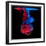 Mix of Colored Ink in Water Creating Abstract Shape, Isolated on Black Background-Jakub Gojda-Framed Photographic Print