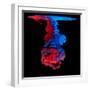 Mix of Colored Ink in Water Creating Abstract Shape, Isolated on Black Background-Jakub Gojda-Framed Photographic Print