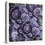 Mix Of Purple Chips-Jace Grey-Stretched Canvas