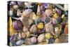 Mixed Atlantic Sea Shells and Crab-null-Stretched Canvas