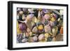 Mixed Atlantic Sea Shells and Crab-null-Framed Photographic Print