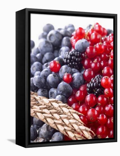 Mixed Berries and Ear of Spelt Wheat-Barbara Lutterbeck-Framed Stretched Canvas