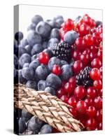 Mixed Berries and Ear of Spelt Wheat-Barbara Lutterbeck-Stretched Canvas