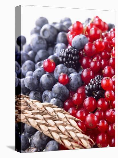 Mixed Berries and Ear of Spelt Wheat-Barbara Lutterbeck-Stretched Canvas