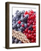 Mixed Berries and Ear of Spelt Wheat-Barbara Lutterbeck-Framed Photographic Print