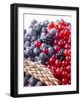 Mixed Berries and Ear of Spelt Wheat-Barbara Lutterbeck-Framed Photographic Print