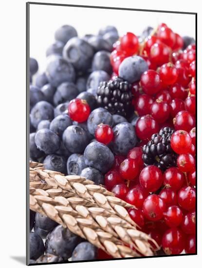 Mixed Berries and Ear of Spelt Wheat-Barbara Lutterbeck-Mounted Photographic Print