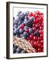 Mixed Berries and Ear of Spelt Wheat-Barbara Lutterbeck-Framed Photographic Print