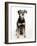 Mixed Breed Dog Sitting Down, One Ear Raised-Petra Wegner-Framed Photographic Print