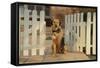 Mixed Breed Dog-DLILLC-Framed Stretched Canvas