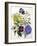 Mixed Calceolaria and Archimenus-Jane W. Loudon-Framed Giclee Print