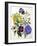 Mixed Calceolaria and Archimenus-Jane W. Loudon-Framed Giclee Print