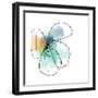 Mixed Color Petals-Jan Weiss-Framed Art Print