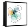 Mixed Color Petals-Jan Weiss-Framed Stretched Canvas