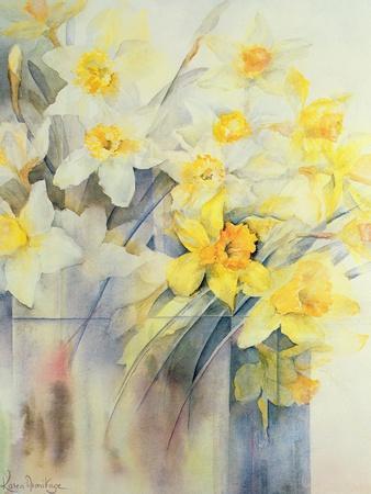 https://imgc.allpostersimages.com/img/posters/mixed-daffodils-in-a-tank_u-L-Q1HPW210.jpg?artPerspective=n