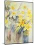 Mixed Daffodils in a Tank-Karen Armitage-Mounted Giclee Print