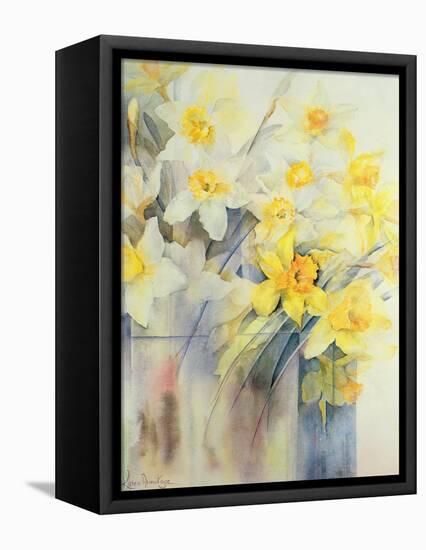 Mixed Daffodils in a Tank-Karen Armitage-Framed Stretched Canvas