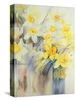 Mixed Daffodils in a Tank-Karen Armitage-Stretched Canvas