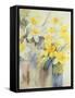 Mixed Daffodils in a Tank-Karen Armitage-Framed Stretched Canvas