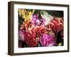 Mixed Dahlias-Marc O^ Finley-Framed Premium Photographic Print