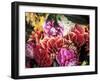 Mixed Dahlias-Marc O^ Finley-Framed Premium Photographic Print