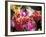 Mixed Dahlias-Marc O^ Finley-Framed Photographic Print