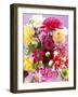 Mixed Dahlias-Marc O^ Finley-Framed Photographic Print