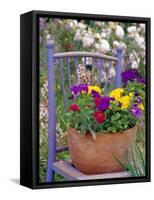 Mixed Flowers and Old Chair, Seattle, Washington, USA-Terry Eggers-Framed Stretched Canvas