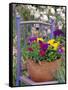 Mixed Flowers and Old Chair, Seattle, Washington, USA-Terry Eggers-Framed Stretched Canvas