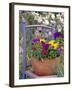 Mixed Flowers and Old Chair, Seattle, Washington, USA-Terry Eggers-Framed Photographic Print