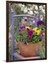 Mixed Flowers and Old Chair, Seattle, Washington, USA-Terry Eggers-Framed Photographic Print