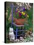 Mixed Flowers and Old Chair, Seattle, Washington, USA-Terry Eggers-Stretched Canvas