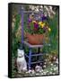 Mixed Flowers and Old Chair, Seattle, Washington, USA-Terry Eggers-Framed Stretched Canvas