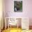 Mixed Flowers and Old Chair, Seattle, Washington, USA-Terry Eggers-Stretched Canvas displayed on a wall