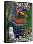 Mixed Flowers and Old Chair, Seattle, Washington, USA-Terry Eggers-Framed Stretched Canvas