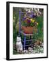 Mixed Flowers and Old Chair, Seattle, Washington, USA-Terry Eggers-Framed Premium Photographic Print