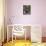 Mixed Flowers and Old Chair, Seattle, Washington, USA-Terry Eggers-Mounted Premium Photographic Print displayed on a wall