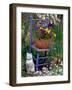 Mixed Flowers and Old Chair, Seattle, Washington, USA-Terry Eggers-Framed Photographic Print