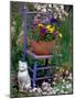 Mixed Flowers and Old Chair, Seattle, Washington, USA-Terry Eggers-Mounted Photographic Print