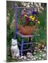 Mixed Flowers and Old Chair, Seattle, Washington, USA-Terry Eggers-Mounted Photographic Print