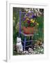 Mixed Flowers and Old Chair, Seattle, Washington, USA-Terry Eggers-Framed Photographic Print