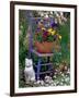 Mixed Flowers and Old Chair, Seattle, Washington, USA-Terry Eggers-Framed Photographic Print