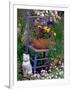 Mixed Flowers and Old Chair, Seattle, Washington, USA-Terry Eggers-Framed Photographic Print