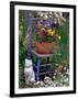 Mixed Flowers and Old Chair, Seattle, Washington, USA-Terry Eggers-Framed Photographic Print